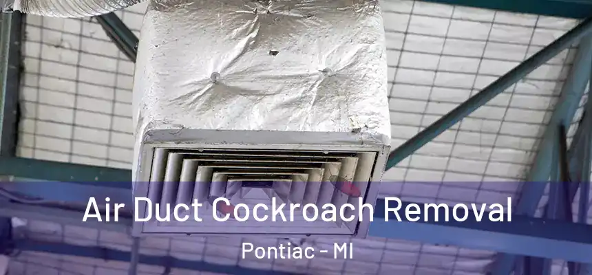 Air Duct Cockroach Removal Pontiac - MI