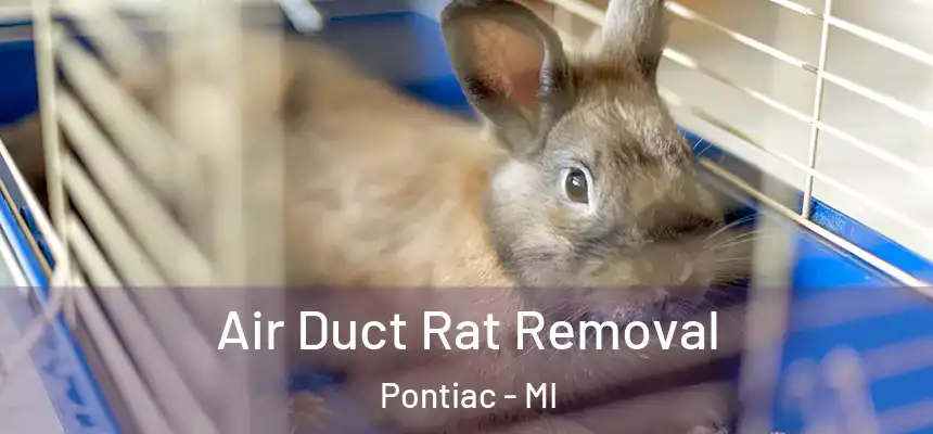  Air Duct Rat Removal Pontiac - MI