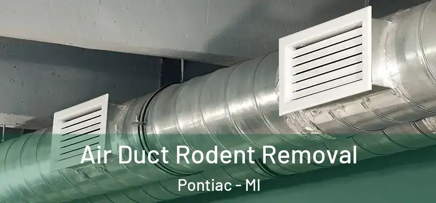 Air Duct Rodent Removal Pontiac - MI