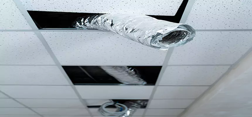 Our Air Duct Pet Hair Removal Services in Pontiac, MI