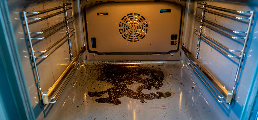 Our Dryer Vent Mold Cleaning Services in Pontiac, MI