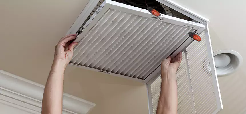 Our Insect Removal from Air Ducts Services in Pontiac, MI