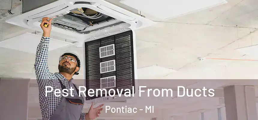 Pest Removal From Ducts Pontiac - MI