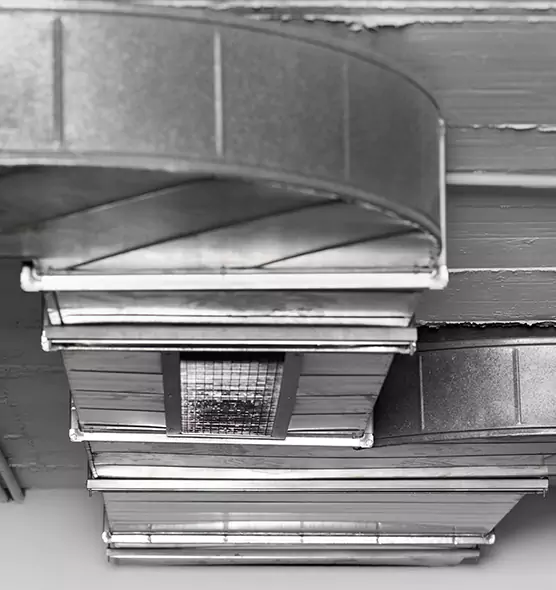 Professional Air Duct Pest Removal in Pontiac, MI